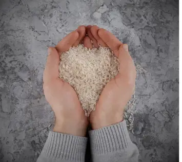 Basmati rice exporters in India