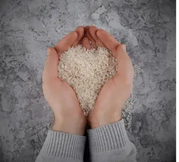 Basmati rice exporters in India