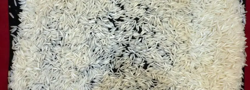 Long Grain Basmati Rice