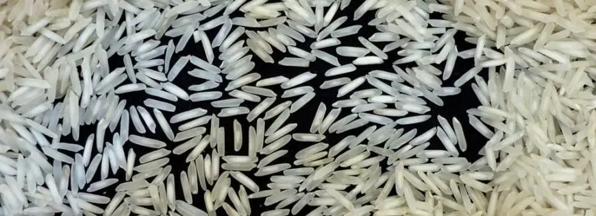 1121 Basmati Rice Exporters
