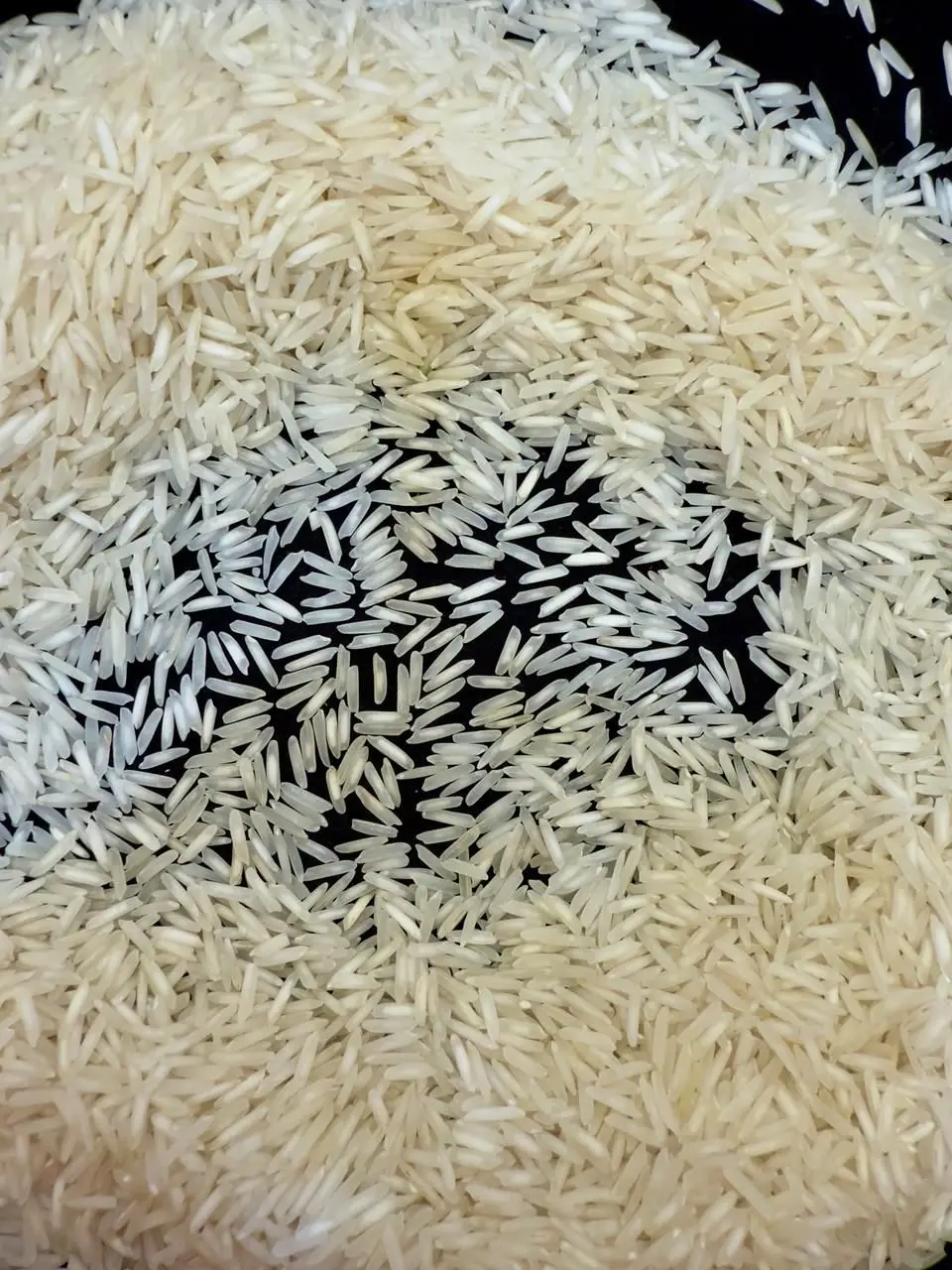 1121 Basmati Rice Exporters