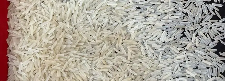 Organic Basmati Rice
