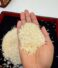 Basmati Rice Exporters and Suppliers in India: Choose Premium Organic Basmati Rice