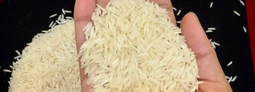 Basmati Rice Exporters in India